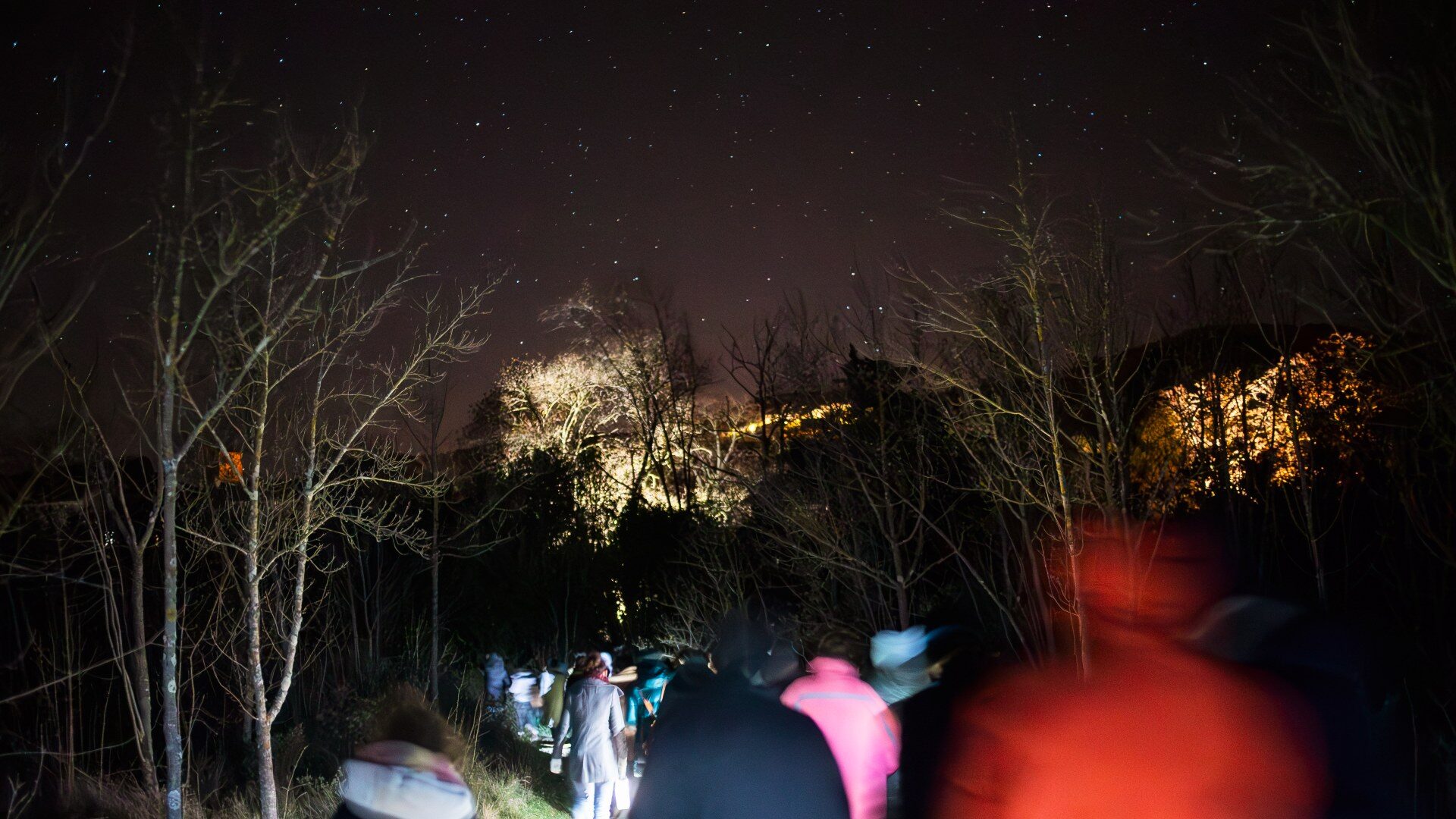 Photo: © Kalimba Mendes