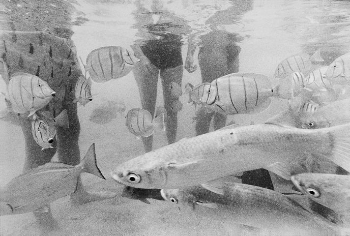 Fish/Belly, Hanauma Bay, série « Sea Samba », 1993, collection L’Imagerie © Barbara Alper